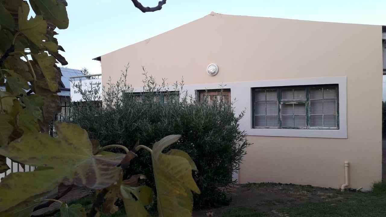 Calvinia Guesthouse Esterno foto